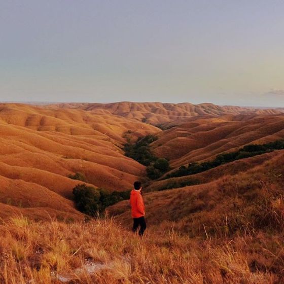 Another colour from Wairinding hills (Foto diambil dari instagram Aris Suhendra @kabutipis)